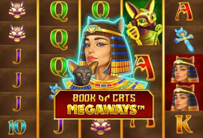 Bonus successfully activated using Step-by-Step Redemption Guide and Bonus Activation.